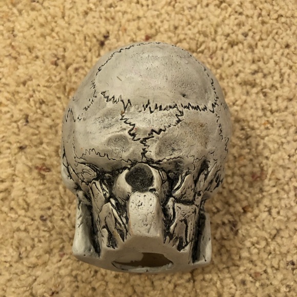 Human Skull Halloween decoration . Scary Good lifelike display - Picture 4 of 6